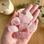 Rose Quartz Tumble Stone