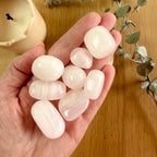 Pink Mangano Calcite Tumble Stone (High Grade)