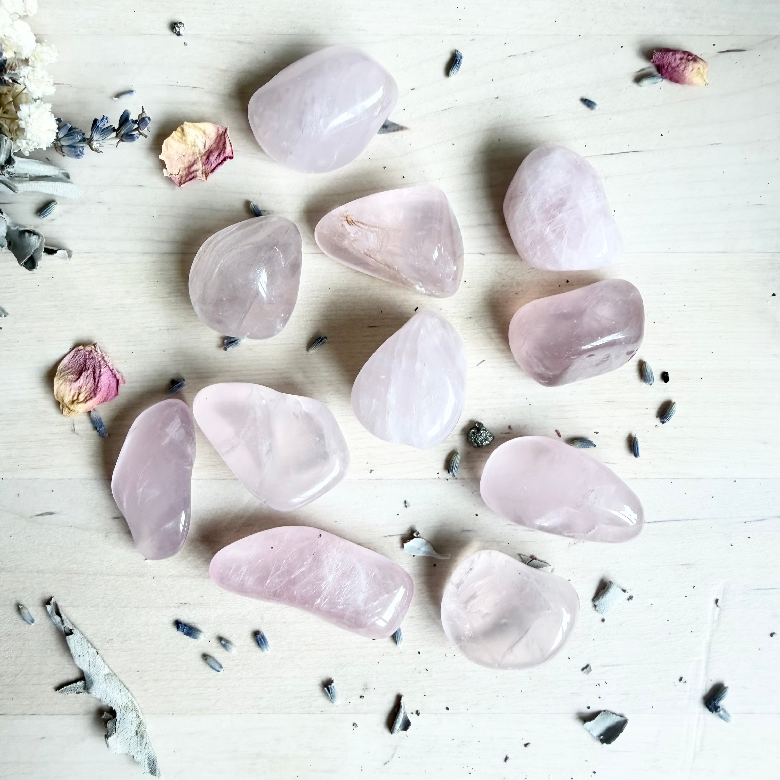 Rose Quartz Tumble Stone